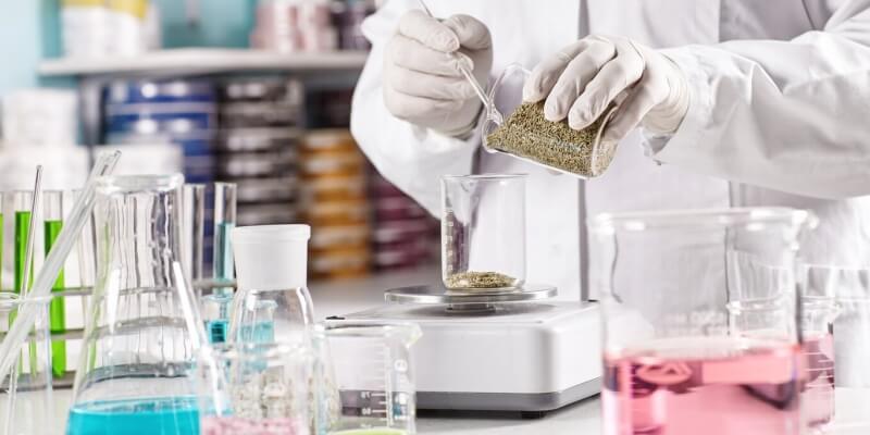 A Step-by-Step Guide for Beginners